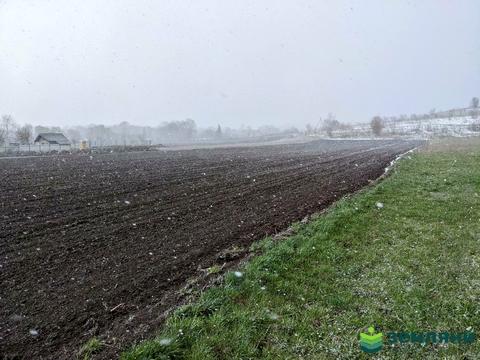 ділянка за адресою с. Клубівці, Лугова