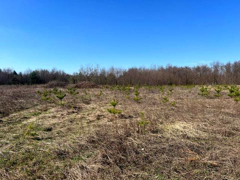 участок по адресу 