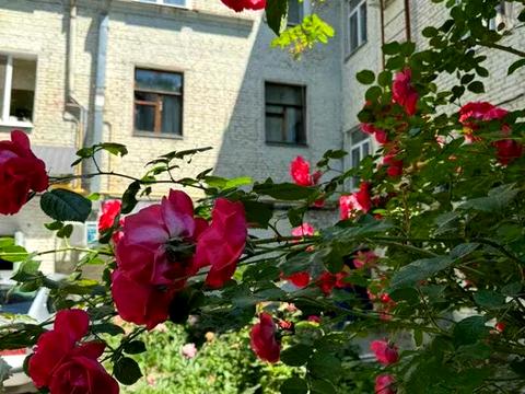 квартира за адресою Бульвар Студентський, 14/6