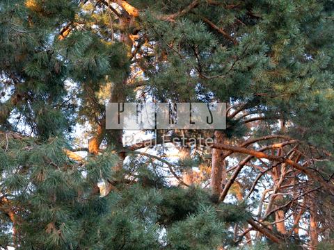 будинок за адресою Боярка, Сосновий пров.