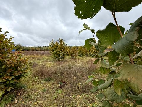 участок по адресу 