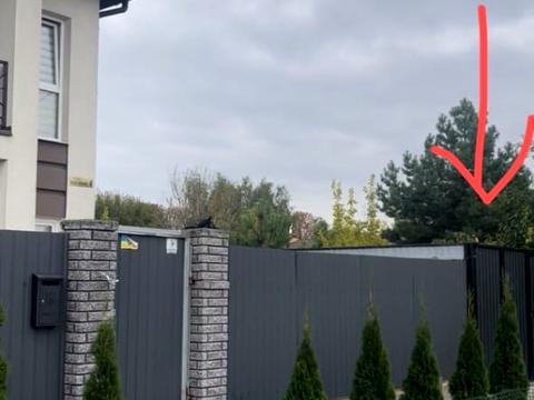 участок по адресу Счастливый пер.