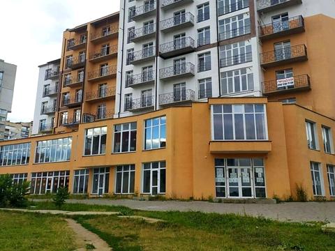 комерційна за адресою Панаса Мирного вул., 19