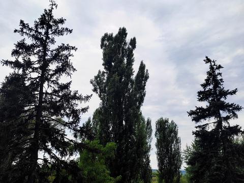 кімната за адресою Русанівська набережна вул., 4
