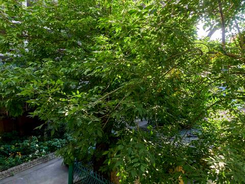 квартира по адресу Братская ул., 4