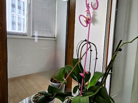 квартира по адресу Героев просп., 4