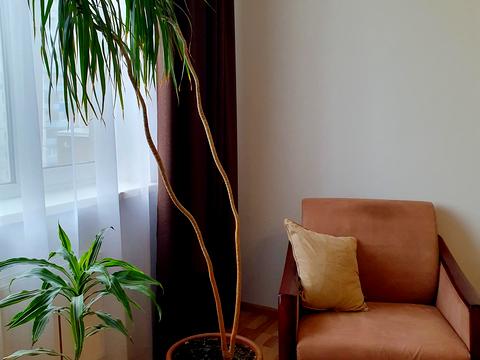 квартира за адресою Науки просп., 30