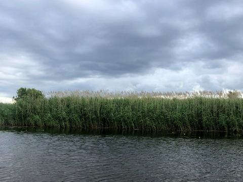 дом по адресу жк парус