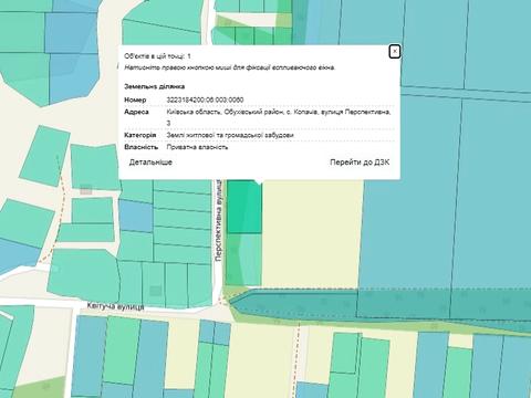 ділянка за адресою с. Копачів, Перспективна, 3