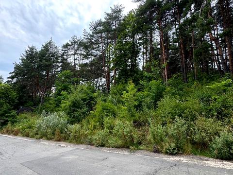 ділянка за адресою Джерельна