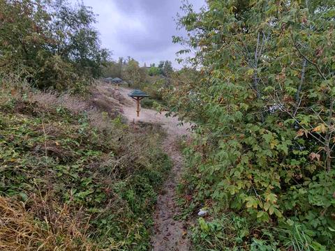 участок по адресу Островная ул., 209