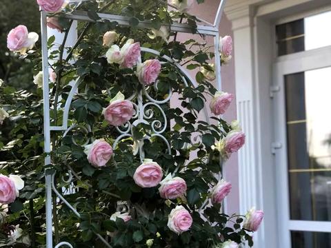 будинок за адресою Чаплинська вул.