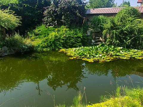 будинок за адресою Бандери, 7