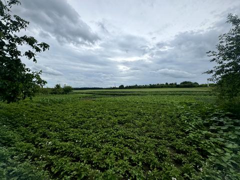 будинок за адресою Ясенева