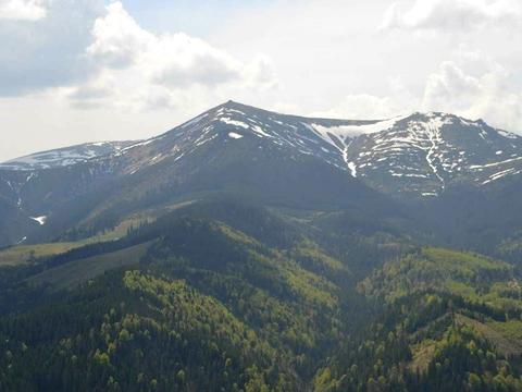 участок по адресу с. Быстрец, присілок Кошарище