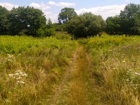 участок по адресу с. Червоная Чагаровка, 