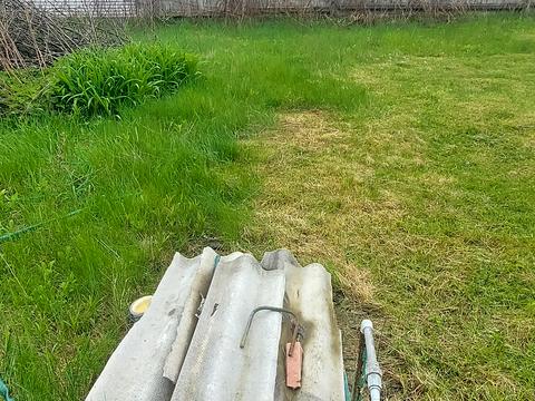 участок по адресу Котляревського