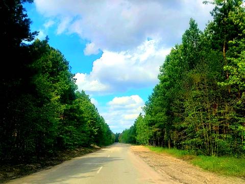 участок по адресу Панаса Мирного