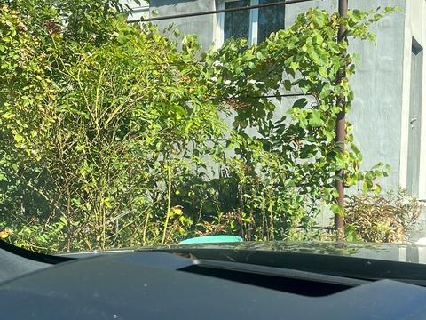 квартира по адресу Липского ул., 1