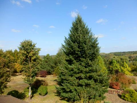 дом по адресу Польова, 212