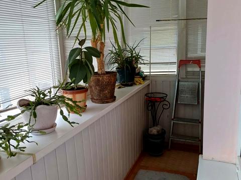 квартира за адресою Святошинська пл., 1