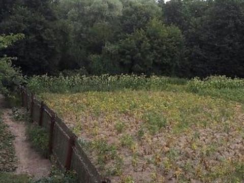 участок по адресу Молодіжна ул.