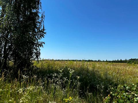 участок по адресу 