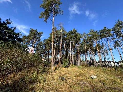 участок по адресу Гостомельське шосе