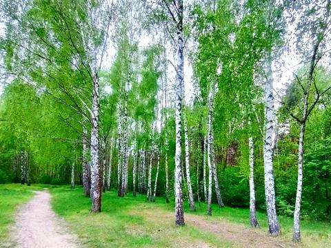 дом по адресу Соснова