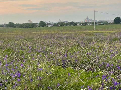 ділянка за адресою Царське село