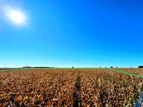 будинок за адресою Захисників Вітчизни