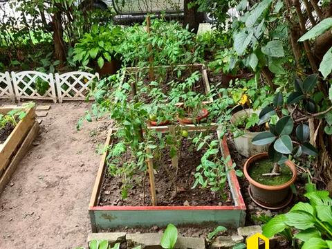 квартира за адресою Кульпарківська вул. (Кульпарківська), 145