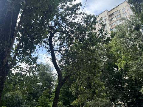 квартира по адресу Митрополита Василия Липковского ул. (Урицкого), 24