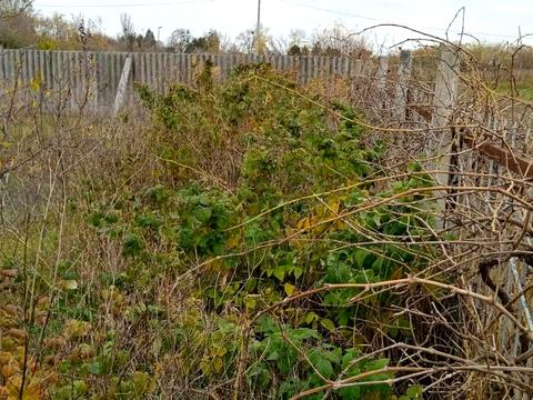 будинок за адресою біліченко, 9