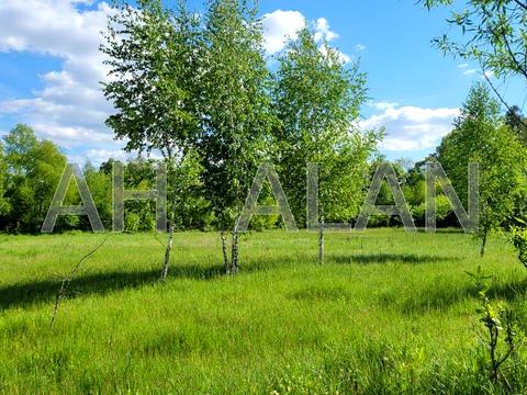 ділянка за адресою с. Таценки, 