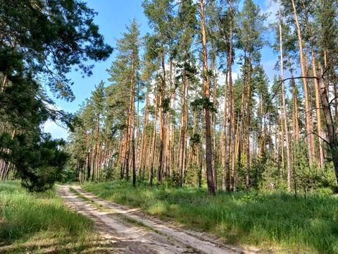 ділянка за адресою с. Мотижин, 