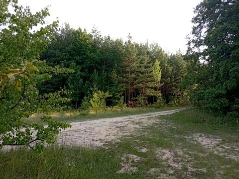 ділянка за адресою 