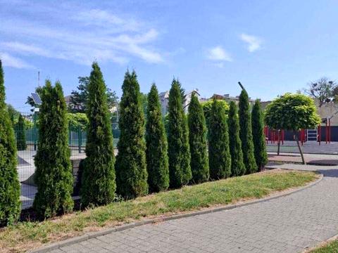 квартира по адресу Национальной Гвардии ул., 14ц
