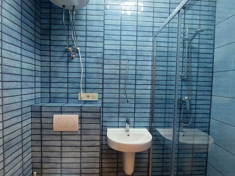 квартира по адресу Дача Ковалевского ул., 5