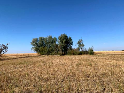 будинок за адресою Світанкова
