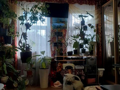 будинок за адресою Нахічеванський пров.