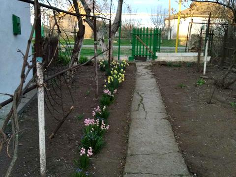 дом по адресу Центральна