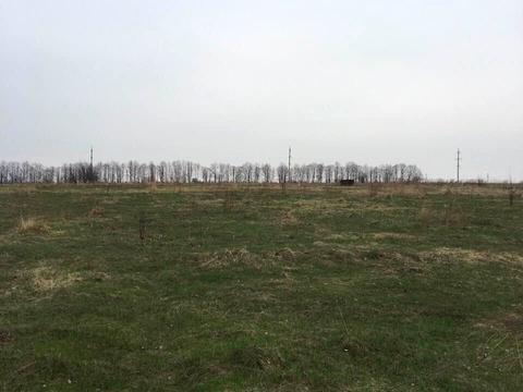 ділянка за адресою с. Надточії, Кольцева