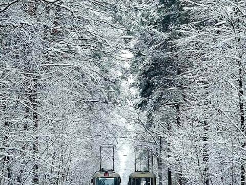 квартира по адресу Квітки Цісик ул. (Гамарника), 34