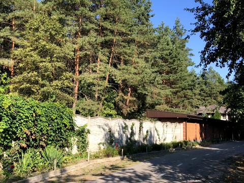 ділянка за адресою с. Орлівщина, провулок Озерний