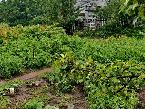 ділянка за адресою Кегичевская ул., 9