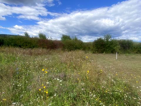 ділянка за адресою с. Невицьке, 