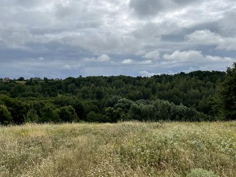 участок по адресу Миру