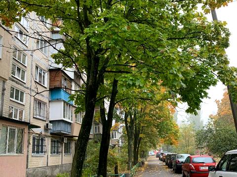квартира за адресою Анатолія Солов'яненка вул. (Олександра Бойченка), 11