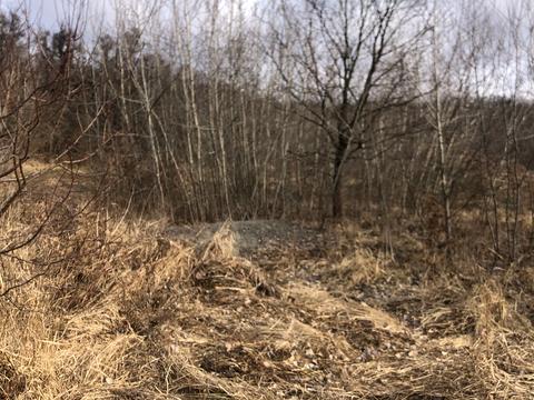 участок по адресу Іршавська